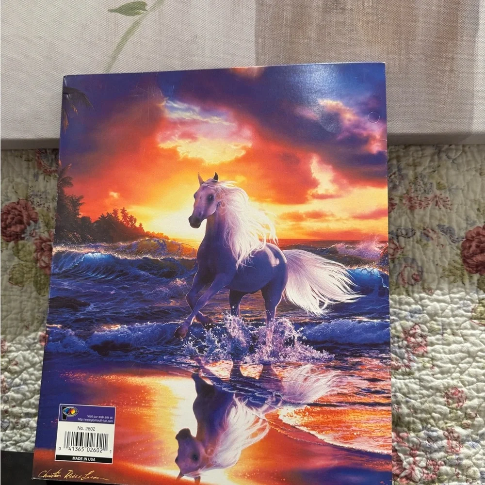 Vintage Pocket Folder Christian Riese Lassen Free Spirit Wild Horse On Beach